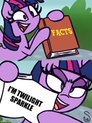 Size: 500x667 | Tagged: safe, artist:quarium edits, imported from derpibooru, twilight sparkle, alicorn, pony, book, captain obvious, caption, exploitable meme, female, image macro, meme, no shit sherlock, purple smart, solo, text, twilight sparkle (alicorn), twilight's fact book