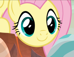 Size: 1210x939 | Tagged: safe, imported from derpibooru, screencap, fluttershy, pegasus, pony, sweet and smoky, close-up, cropped, cute, female, shyabetes, smiling, solo