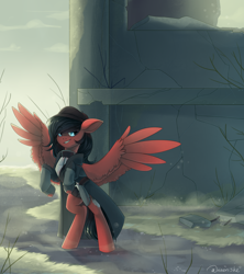 Size: 3000x3386 | Tagged: safe, artist:neonishe, imported from derpibooru, oc, oc only, pegasus, pony, clothes, commission, high res, male, outdoors, pegasus oc, solo, spread wings, wings