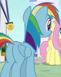 Size: 518x658 | Tagged: safe, imported from derpibooru, screencap, fluttershy, rainbow dash, pegasus, the ending of the end, butt, cropped, female, plot, rainbutt dash