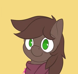 Size: 1261x1195 | Tagged: safe, artist:inkynotebook, imported from derpibooru, part of a set, oc, oc only, oc:brewer, oc:noble brew, earth pony, pony, bust, clothes, commission, earth pony oc, scarf, signature, simple background, smiling, solo, ych result, yellow background