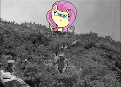 Size: 720x516 | Tagged: safe, edit, editor:ilovethetalkingclock, imported from derpibooru, fluttershy, human, pegasus, pony, my little pony: pony life, g4.5, giant pony, giantshy, godzilla (series), macro, parody