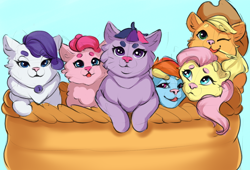 Size: 3000x2034 | Tagged: safe, artist:kittytitikitty, imported from derpibooru, applejack, fluttershy, pinkie pie, rainbow dash, rarity, twilight sparkle, cat, applecat, catified, female, fluttercat, looking at you, my little x, pinkie cat, rainbow cat, raricat, sketch, species swap, twilight cat