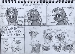 Size: 1946x1408 | Tagged: safe, artist:reekosukanku, imported from derpibooru, oc, oc:reeko, earth pony, pony, skunk, skunk pony, 3/4 view, black and white, bust, cute, daaaaaaaaaaaw, emotions, expressions, fangs, front view, grayscale, innocent, messy mane, monochrome, part 2, portrait, puppy dog eyes, reference sheet, rough sketch, side view, snout, three quarter view, traditional art, white mane