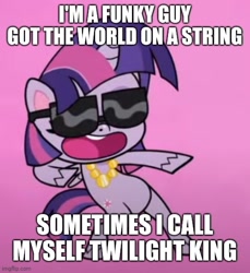 Size: 500x546 | Tagged: safe, edit, edited screencap, imported from derpibooru, screencap, twilight sparkle, alicorn, pony, my little pony: pony life, spoiler:pony life s01e46, bipedal, caption, cropped, dancing, dee dee king, dee dee ramone, female, funky man, g4.5, image macro, jewelry, necklace, open mouth, pose, solo, sportacular spectacular musical musak-ular, sunglasses, text, twilight sparkle (alicorn)