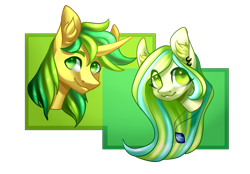 Size: 2000x1393 | Tagged: safe, artist:helemaranth, imported from derpibooru, oc, oc only, earth pony, pony, unicorn, commission, duo, ear fluff, ear piercing, earring, earth pony oc, horn, jewelry, necklace, piercing, simple background, smiling, transparent background, unicorn oc, ych result