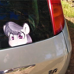 Size: 794x794 | Tagged: safe, artist:partylikeanartist, imported from derpibooru, octavia melody, earth pony, pony, anime, anime eyes, bumper sticker, car, eye clipping through hair, eyebrows, eyebrows visible through hair, ford, ford focus, irl, looking at you, peeking, photo, solo