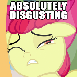 Size: 1080x1080 | Tagged: safe, imported from derpibooru, screencap, apple bloom, earth pony, pony, bloom and gloom, absolutely disgusting, caption, cropped, female, filly, image macro, reaction image, solo, text