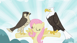 Size: 1920x1080 | Tagged: safe, imported from derpibooru, screencap, fluttershy, bald eagle, bird, eagle, falcon, pegasus, pony, may the best pet win, eyes closed, female, flying, mare, perching, peregrine falcon, smiling, t pose