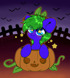 Size: 2000x2200 | Tagged: safe, artist:etoz, imported from derpibooru, oc, oc only, oc:aquagrass, bat, blushing, chibi, commission, cute, female, halloween, holiday, mare, pumpkin, smiling, starry eyes, stars, wingding eyes, ych result