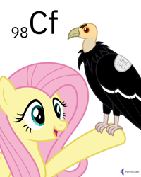 Size: 4000x5000 | Tagged: safe, artist:parclytaxel, imported from derpibooru, fluttershy, bird, california condor, pegasus, pony, vulture, series:joycall6's periodic table, .svg available, absurd resolution, ambiguous gender, californium, chemistry, condor, duo, female, mare, perching, periodic table, pun, simple background, smiling, vector, visual pun, white background
