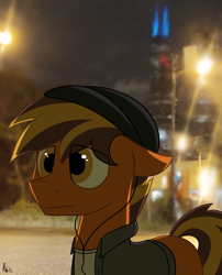 Size: 2100x2600 | Tagged: safe, artist:ponynamedmixtape, imported from derpibooru, oc, oc only, oc:mixtape, earth pony, pony, beanie, chicago, clothes, earbuds, hat, irl, photo, ponies in real life, real life background, solo