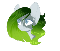 Size: 1741x1477 | Tagged: safe, artist:helemaranth, imported from derpibooru, oc, oc only, earth pony, pony, bust, earth pony oc, simple background, solo, transparent background