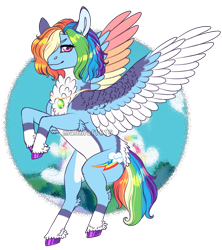 Size: 798x900 | Tagged: safe, artist:malinraf1615, imported from derpibooru, rainbow dash, pegasus, pony, alternate design, alternate hairstyle, backwards cutie mark, butt fluff, chest fluff, cloud, ear fluff, female, flying, hair over one eye, jewelry, leg fluff, mare, markings, necklace, raised hoof, raised leg, redesign, simple background, sky, solo, spread wings, transparent background, unshorn fetlocks, wings