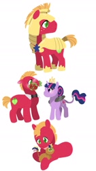 Size: 1280x2270 | Tagged: safe, artist:sandieapple, imported from derpibooru, big macintosh, twilight sparkle, oc, oc:galactic crisp apple, alicorn, earth pony, pony, unicorn, armor, blushing, bouquet, bowtie, colt, father and child, father and son, female, flower, leonine tail, male, mouth hold, new crown, offspring, parent:big macintosh, parent:twilight sparkle, parents:twimac, royal guard armor, shipping, simple background, straight, twilight sparkle (alicorn), twimac, white background