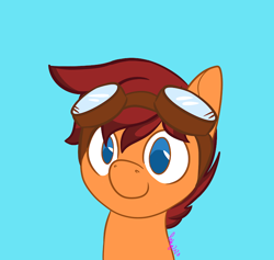 Size: 720x682 | Tagged: safe, artist:inkynotebook, imported from derpibooru, part of a set, oc, oc only, earth pony, pony, bust, commission, earth pony oc, goggles, signature, simple background, smiling, solo, ych result