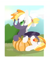 Size: 1280x1558 | Tagged: safe, artist:sandieapple, imported from derpibooru, oc, oc only, oc:apple harvest, earth pony, pony, cute, female, filly, heterochromia, magical lesbian spawn, offspring, parent:applejack, parent:inky rose, parents:inkyjack, pumpkin, solo