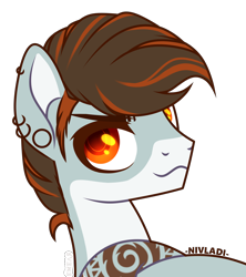 Size: 3246x3656 | Tagged: safe, artist:nivladi, imported from derpibooru, oc, oc only, oc:summer waves, pegasus, pony, crossed arms, ear piercing, earring, eyebrow piercing, jewelry, lifeguard, male, markings, piercing, simple background, smiling, smirk, solo, stallion, tattoo, transparent background, unshorn fetlocks