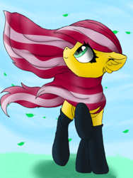 Size: 312x416 | Tagged: safe, imported from derpibooru, bright eyes, oc, oc:cutie roses, pegasus, pony, beautiful mane, black socks, blue sky, clothes, grass, grass field, green eyes, leaf, long mane, looking up, mare, pegasus oc, pink mane, small mare, socks, wind