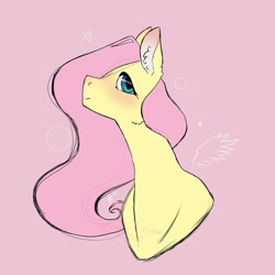 Size: 1024x1024 | Tagged: safe, artist:terato.lust, imported from derpibooru, fluttershy, pegasus, pony, blushing, bust, cute, ear fluff, female, mare, shyabetes, solo