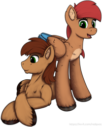 Size: 1000x1232 | Tagged: safe, artist:redquoz, imported from derpibooru, oc, oc only, oc:allegra mazarine, oc:red bark, earth pony, pegasus, pony, blue feather, brown feathers, brown mane, colored hooves, cream feathers, crossed hooves, earth pony oc, feather, female, fluffy, green eyes, looking at you, looking away, male, mare, open mouth, pegasus oc, red mane, scruffy, simple background, smiling at you, stallion, standing over, transparent background, two toned wings, url, watermark, wings