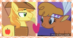 Size: 673x350 | Tagged: safe, edit, edited screencap, imported from derpibooru, screencap, braeburn, little strongheart, buffalo, earth pony, pony, over a barrel, braeheart, clothes, female, male, shipping, shipping domino, stallion, straight, watermark