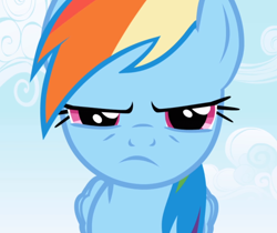 Size: 1116x936 | Tagged: safe, imported from derpibooru, screencap, rainbow dash, pegasus, pony, applebuck season, close-up, cropped, female, looking at you, narrowed eyes, rainbow dash is not amused, solo, unamused