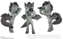 Size: 1280x800 | Tagged: safe, artist:batponyecho, imported from derpibooru, oc, oc only, oc:shutterstock, bat pony, pony, 3d, bat pony oc, bat wings, camera, looking at you, male, simple background, solo, source filmmaker, spread wings, stallion, tail, white background, wings