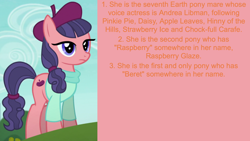 Size: 1920x1080 | Tagged: safe, edit, edited screencap, editor:jaredking203, editor:jaredking779, imported from derpibooru, screencap, raspberry beret, earth pony, pony, made in manehattan, beret, facts, female, hat, mare