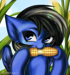 Size: 800x862 | Tagged: safe, alternate version, artist:ronarinych, imported from derpibooru, oc, oc only, oc:driftor, pegasus, pony, commission, corn, corn on the cob, cute, eating, field, food, herbivore, looking at you, pegasus oc, solo, sunshine, wings, ych result