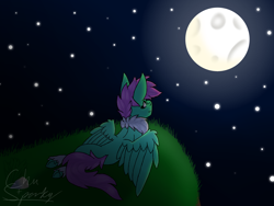 Size: 1600x1200 | Tagged: safe, artist:chu-and-sparky-127, imported from derpibooru, oc, oc only, oc:firework spark, pegasus, pony, chest fluff, female, full moon, looking up, mare, moon, night, outdoors, pegasus oc, signature, stars, wings