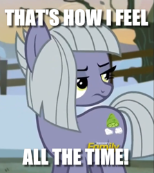 Size: 725x813 | Tagged: safe, edit, edited screencap, imported from derpibooru, screencap, limestone pie, pony, hearthbreakers, caption, cropped, discovery family logo, female, image macro, reaction image, solo, text