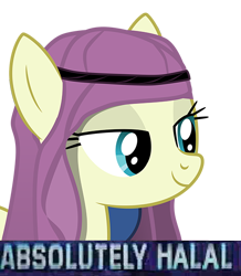 Size: 500x574 | Tagged: safe, edit, edited screencap, editor:hotkinkajou, screencap, bon bon, sweetie drops, absolutely halal, kufiya, meme, ponified meme, simple background, transparent background