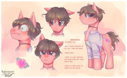 Size: 2360x1447 | Tagged: safe, artist:opossum_imoto, imported from derpibooru, oc, oc:hibiscus, earth pony, pony, ashamed, blouse, blushing, earth pony oc, flower, hibiscus, reference sheet