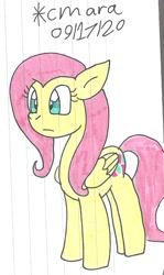 Size: 623x1043 | Tagged: safe, artist:cmara, imported from derpibooru, fluttershy, pegasus, pony, female, mare, simple background, solo, traditional art, white background