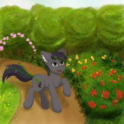 Size: 3000x3000 | Tagged: safe, artist:nekoshanka, imported from derpibooru, oc, oc only, oc:thistle, earth pony, pony, bush, cute, ear fluff, flower, forest, forest background, garden, green eyes, male, open mouth, path, rose, solo, tree