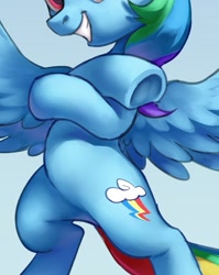 Size: 747x940 | Tagged: safe, artist:luciferamon, edit, imported from derpibooru, rainbow dash, pegasus, pony, backwards cutie mark, belly, bipedal, cropped, crossed hooves, featureless crotch, frog (hoof), grin, pictures of bellies, smiling, solo, underhoof