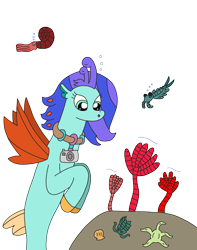 Size: 2354x2991 | Tagged: safe, artist:supahdonarudo, imported from derpibooru, oc, oc only, oc:sea lilly, ammonite, anomalocaris, seapony (g4), starfish, trilobite, anonmalocaris, camera, crinoid, jewelry, lost world, necklace, shell, simple background, transparent background