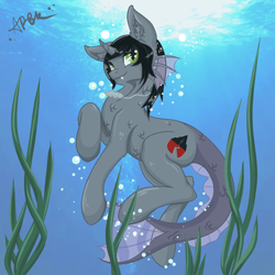 Size: 2000x2000 | Tagged: safe, artist:miscellanea_apgk, imported from derpibooru, half-siren, hybrid, pony, bubble, commission, curved horn, fangs, fish tail, happy, horn, jewelry, kellin quinn, male, necklace, ponified, scales, sleeping with sirens, slit eyes, slit pupils, solo, swimming, underwater, ych result