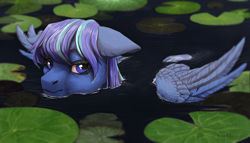 Size: 960x548 | Tagged: safe, artist:marinavermilion, imported from derpibooru, oc, oc only, pegasus, pony, lilypad, solo, water