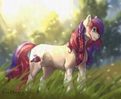 Size: 960x785 | Tagged: safe, artist:marinavermilion, imported from derpibooru, oc, oc only, earth pony, pony, braid, grass, solo