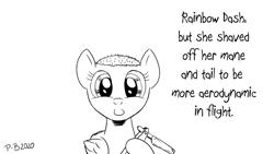 Size: 1200x675 | Tagged: safe, artist:pony-berserker, imported from derpibooru, rainbow dash, pony, bald, cursed image, monochrome, pony-berserker's twitter sketches, razor blade, shaved, shaved mane, simple background, smiling, white background