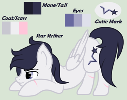 Size: 2209x1730 | Tagged: safe, artist:lominicinfinity, imported from derpibooru, oc, oc only, oc:star striker, pegasus, pony, male, reference sheet, simple background, solo, stallion