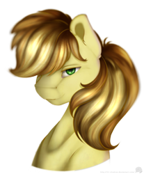 Size: 1341x1621 | Tagged: safe, artist:11-shadow, imported from derpibooru, braeburn, earth pony, pony, bust, male, simple background, solo, transparent background