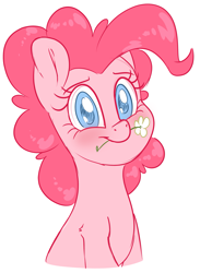 Size: 2087x2854 | Tagged: safe, artist:fluffyxai, imported from derpibooru, pinkie pie, earth pony, pony, blushing, bust, cute, diapinkes, female, flower, flower in mouth, high res, looking at you, mare, mouth hold, simple background, smiling, solo, white background