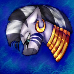 Size: 1000x1000 | Tagged: safe, artist:11-shadow, imported from derpibooru, zecora, pony, zebra, bust, female, sad, solo