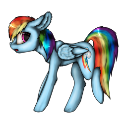 Size: 1000x1000 | Tagged: safe, artist:11-shadow, imported from derpibooru, rainbow dash, pegasus, pony, big ears, female, fluffy, simple background, solo, transparent background