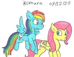 Size: 1224x949 | Tagged: safe, artist:cmara, imported from derpibooru, fluttershy, rainbow dash, pegasus, pony, duo, female, flying, mare, simple background, traditional art, white background