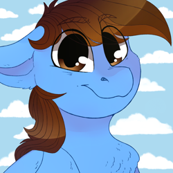 Size: 1082x1082 | Tagged: safe, artist:jayliedoodle, imported from derpibooru, oc, oc only, oc:pegasusgamer, pegasus, bust, chest fluff, cloud, ear fluff, happy, looking at you, simple background, sky, smiling, wings