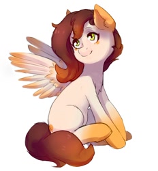 Size: 900x970 | Tagged: safe, artist:helemaranth, imported from derpibooru, oc, oc only, pegasus, pony, pegasus oc, simple background, sitting, solo, white background, wings